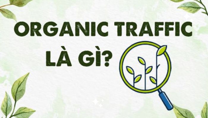 Organic Traffic là gì?