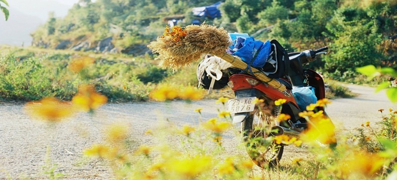 trải nghiệm các địa điểm phượt miền bắc