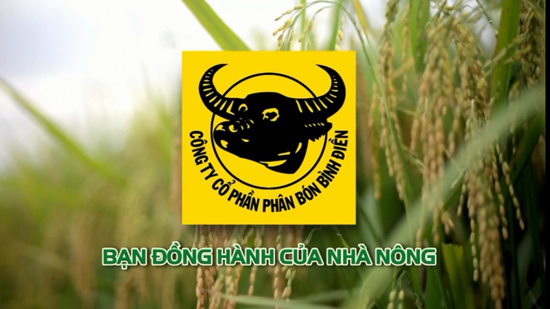 phân bón bình điền