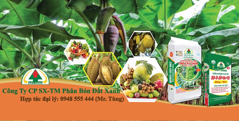 phân bón đất xanh