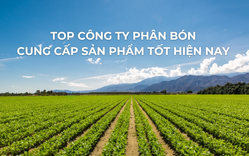 top công ty phân bón