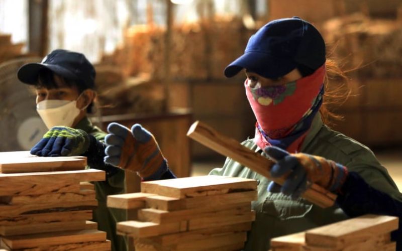 Giá thành hợp lý và dịch vụ hậu mãi tốt